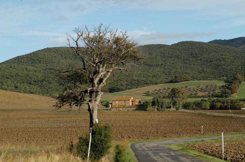 BIBBONA CAMPAGNA